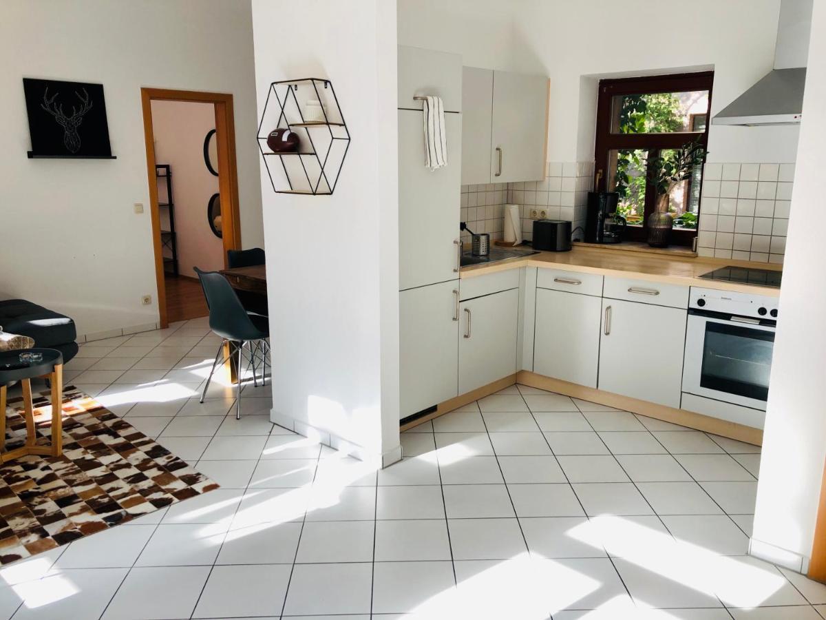 Ferienwohnungen Mit Terrasse In Zwingernaehe - Hilger Rentals Δρέσδη Εξωτερικό φωτογραφία