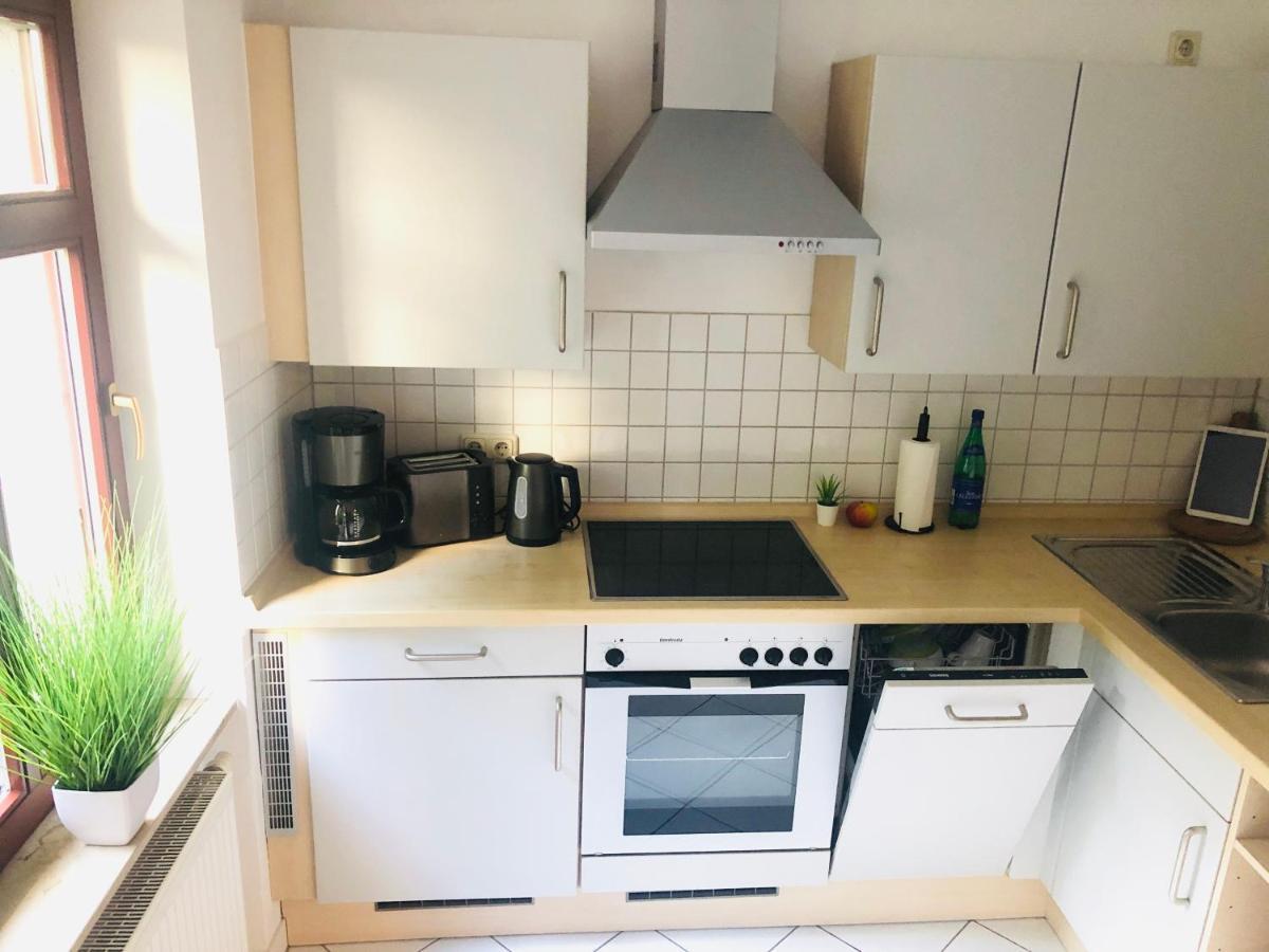 Ferienwohnungen Mit Terrasse In Zwingernaehe - Hilger Rentals Δρέσδη Εξωτερικό φωτογραφία